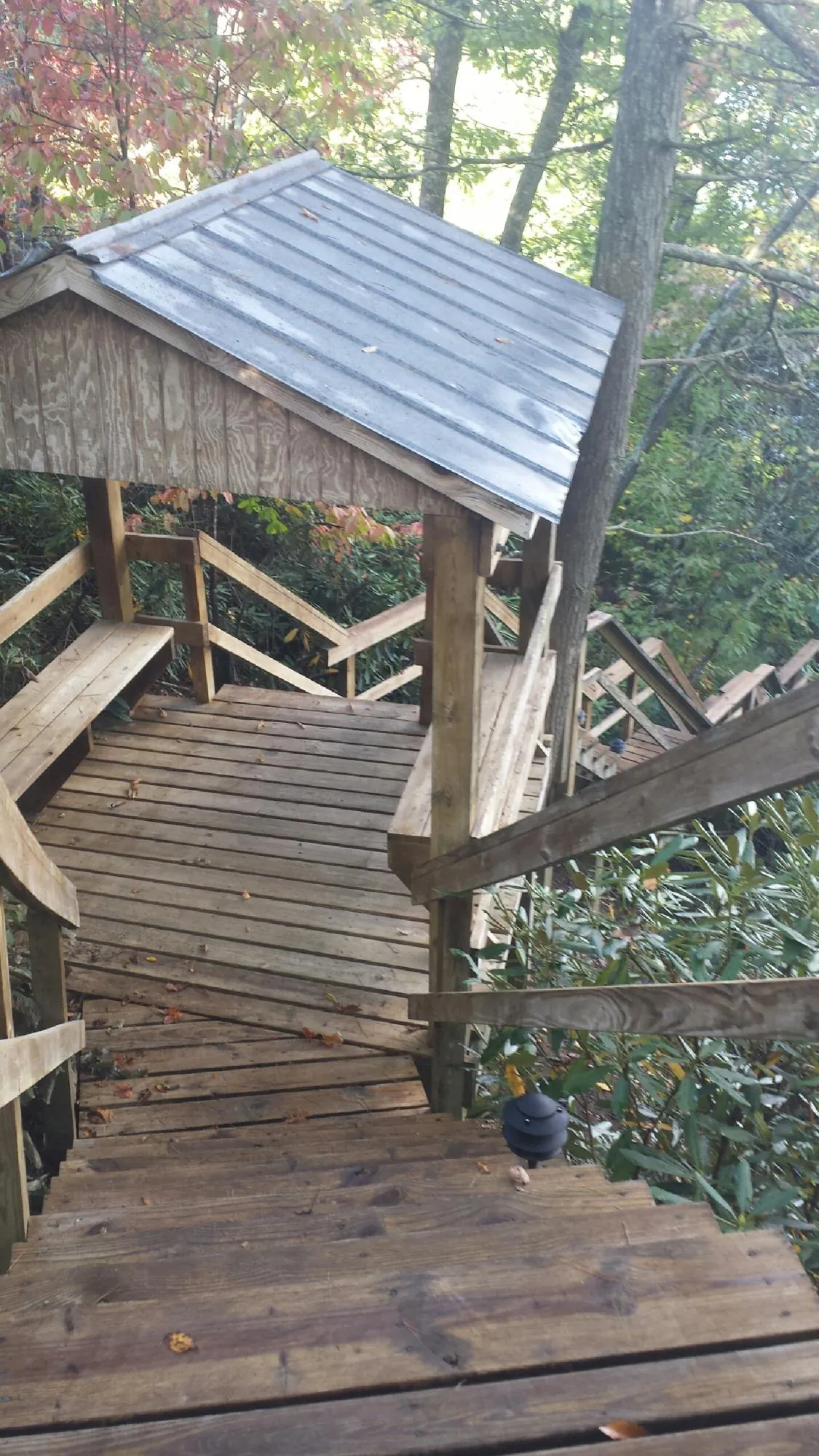 Metal roofed shelter over wooden steps on a wooded walkway — Skylight Repair & Installation work by our crew in Roca